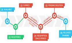 Domain Name Life Cycle