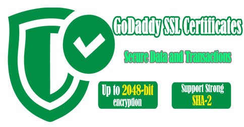 Godaddy domain lock