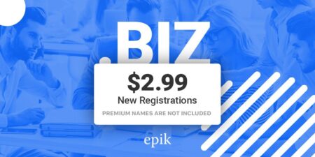 epik $2.99 .biz registration