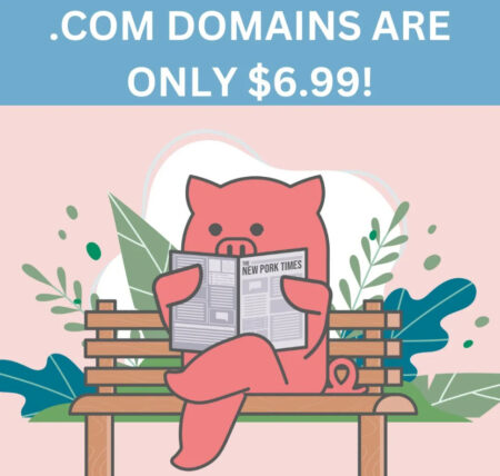 Porkbun - Register UNLIMITED .Com Domains For $6.99 Each